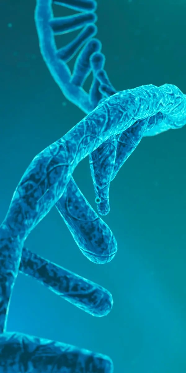 target-expression-xpressway_header-mobile